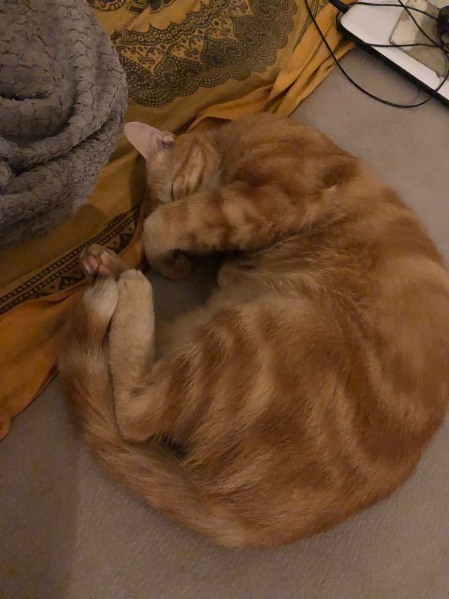 Profil von Samyr