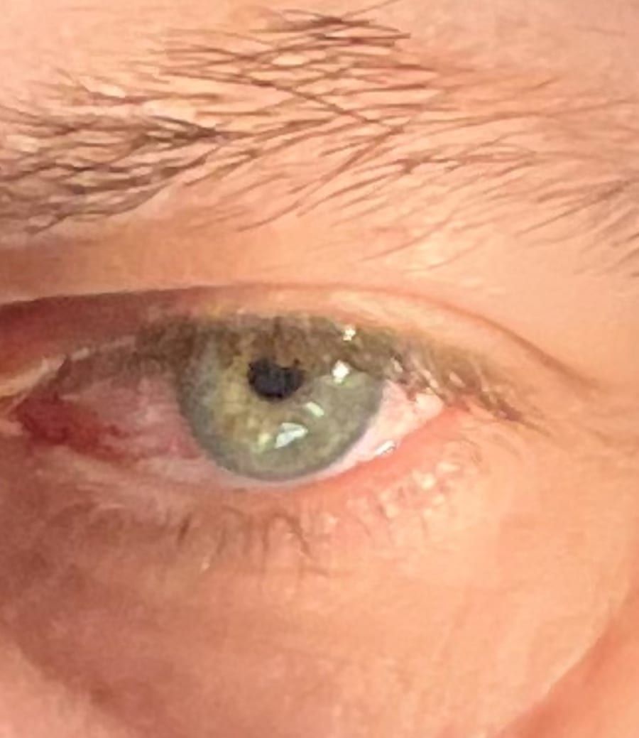 Profil von Noyan